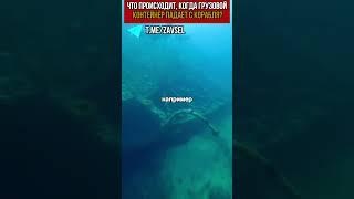 Самый невероятный улов: Айфоны и айпады из морских волн!