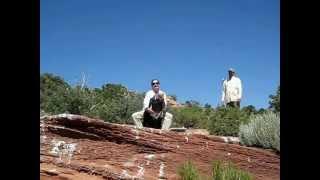 California condor released at BLM's Vermilion Cliffs National Monument