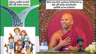 ඔබට භෞතික ලෝකයේ කිසිවෙක් නෑ.ඔබ මේ ගමන නවත්තන්න අන්තිම සටන අරබන්න.