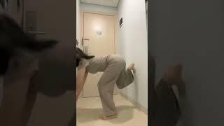 goyang hot pantat getar banget #shorts #tiktok #tiktokviral #viral