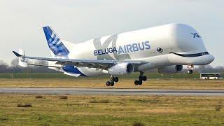 (4K) Plane spotting afternoon at the Airbus factory in Hamburg - Beluga, Beluga XL and A321N!