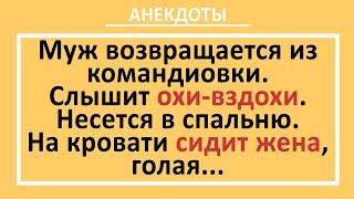 Сборник анекдотов смешных до слез! Юмор! Смех! Позитив!