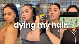 Garnier Olia - dark brown : let's dye my hair //