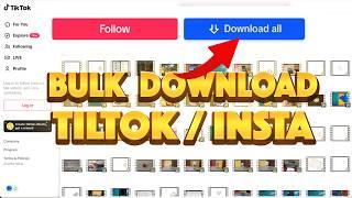 How to Bulk Download TikTok Videos and Insta Reels | No Watermark (Edu Purpose)