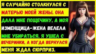 Во время семейного ужина я случайно столкнулся с матерью моей жены. Она дала мне пощечину и пнула