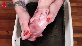 Pig Trotter Dissection Synovial Joint GCSE A Level Biology PE Anatomy NEET Practical Skills