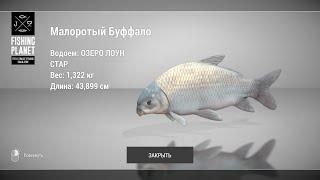 Fishing Planet - Как ловить Малоротого Буффало на озере Лоун Стар?