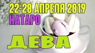 ДЕВА - таро прогноз 22-28 апреля 2019 года НАТАРО.