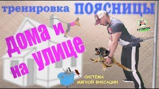 Тренировка Поясницы - ДОМА и на УЛИЦЕ - система Мягкой фиксации 2