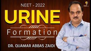 Urine Formation | Human Physiology (Pre-Medical-NEET/AIIMS) | Dr. Quamar Abbas Zaidi