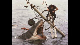 50th anniversary of 'Jaws': How the film impacted public perception of sharks