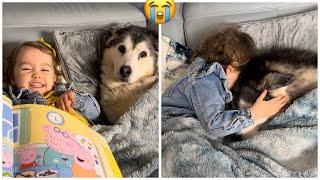 Adorable Baby Takes Care Of Her Old Husky & Reads Her A Story!. [CUTEST VIDEO EVER!!!!]