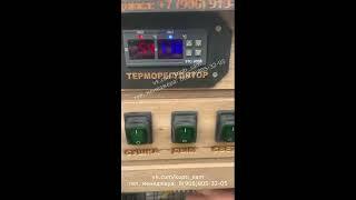 регулировка терморегулятора stc 3008 копти и точка камеры холодного и горячего копчения с завода