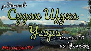 Русская Рыбалка 4 Где Клюет ? р.Волхов Судак Щука Угорь 22.10