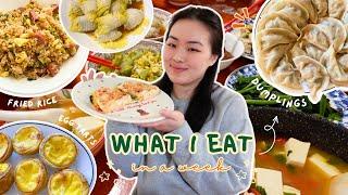 What I Eat in a Week!  (Asian Food, Homemade Dumplings, Fried Rice, Baking, Eating Out)