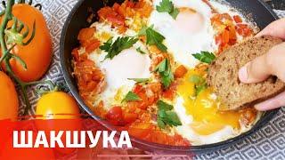 Шакшука // Королевская яичница // Самая популярная в мире яичница