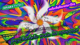 психоделический поезд синара рулит psychodelic train