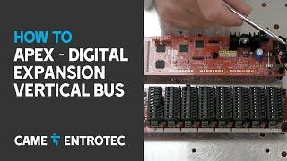 Apex    Digital Expansion Vertical Bus