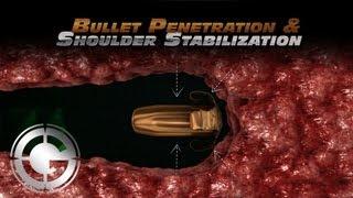 Bullet Penetration & Shoulder Stabilization