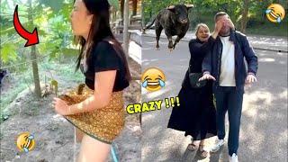 Try Not To Laugh Challenge  ▶ LEVEL 35 | Instant Regret Fails Compilation 2025