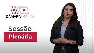 Sessão Plenária | Câmara Explica #EP02