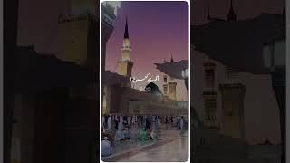 Madina Naat Sharif|Islamic status|Heart Touching Naat#shorts#viral#shortfeed