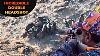 INCREDIBLE WILD BOAR HEADSHOT - TEK ATIŞTA İKİ DOMUZ DÜŞTÜ - CHASSE AU SANGLIER