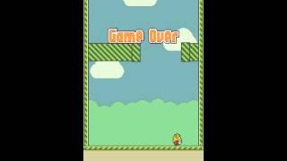 Обзор Mr & Mrs Flappy - Flap Bird Flap