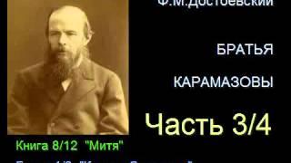 " Братья Карамазовы " - Часть 3/4 - Книга 8/12 - Глава 1/8