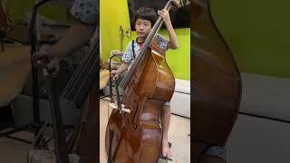 The Elephant (Saint-Sean: Carnival of the Animal) Double Bass by Airforce (9 years old).