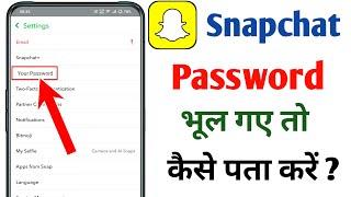 Snapchat ka password kaise pata kare | Snapchat ka password bhul gaye to kya kare 