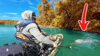 Unforgettable Catch Biggest Fish Ever Landed in the River!