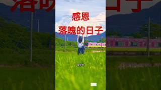 人一定要感谢落魄的日子。 #正能量 #心灵感悟 #现实生活中的名言 #励志 #shortvideo #shorts