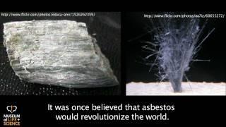 Are Carbon Nanotubes the Next Asbestos?