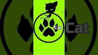 Kwamis in real life   Plagg  - Cat  | Miraculous Ladybug #Shorts