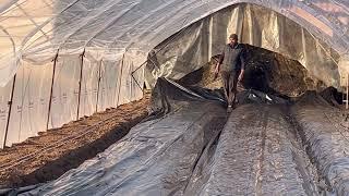 Installation of a greenhouse / planting seedlings of tomatoes and other vegetables in a greenhouse