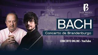 BACH BRASIL #33 - Concerto de Brandenburgo - Kanji, G. dos Santos, Cordella | BACH SOCIETY BRASIL