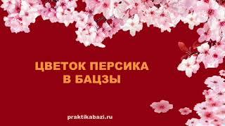 Цветок Персика   | Символические  звезды в Бацзы