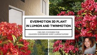 Purchasing an Evermotion 3D Plant model to use in Lumion and Twinmotion!