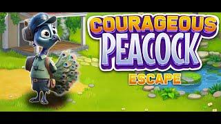 G4K Courageous Peacock Escape Game Walkthrough