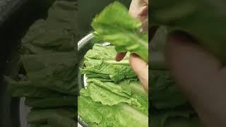 #youtubeshorts #lettuce #vegatable #viralshorts #trending #asmr