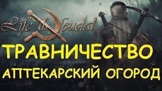 Life is feudal: Your own - Травничество Строим аптекарский огород