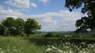 Holiday lodges in Dorset - Saxon Maybank video