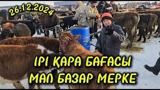 26.12.2024 ІРІ ҚАРА БАҒАСЫ / МАЛ БАЗАР ТАРАЗ