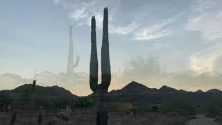 USA - Morning Walk in a quiet neighborhood in North Scottsdale, Arizona!