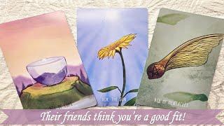 They're friends are telling them you're a good fit! They need to be more generous with their time.