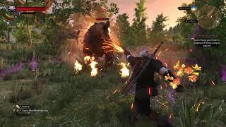 The Witcher 3 Igni Firestream OP