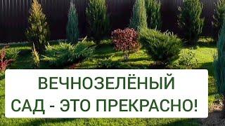 ВЕЧНОЗЕЛЁНЫЙ САД - ЭТО ПРЕКРАСНО! 7.11.2024г. БЕЛАРУСЬ, ГОМЕЛЬСКАЯ ОБЛАСТЬ