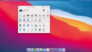 How to make a App automatically open in Mac OS from start up.