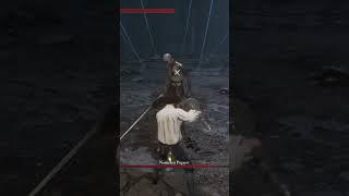 No Damage Cheese Against Nameless Puppet (Phase 1) in Lies of P #liesofp #family
